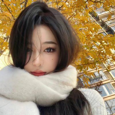 终极指令